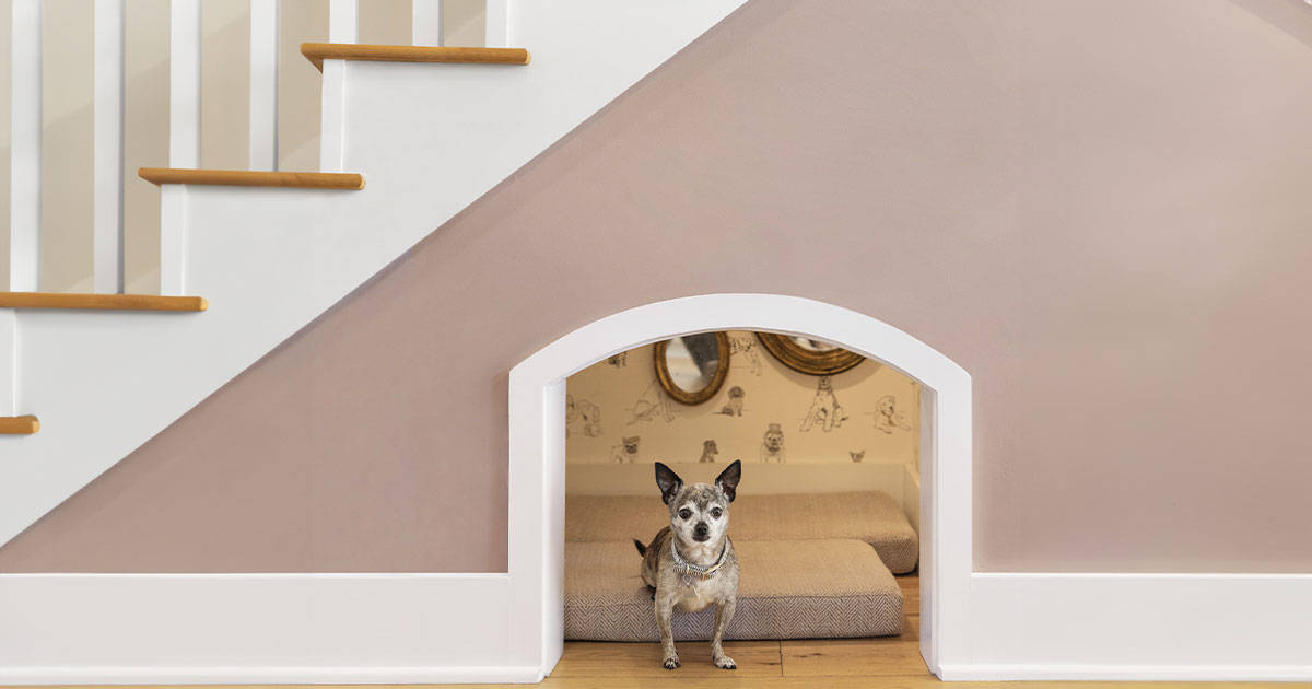 How to Build a Pet Nook for Your Furry Friend