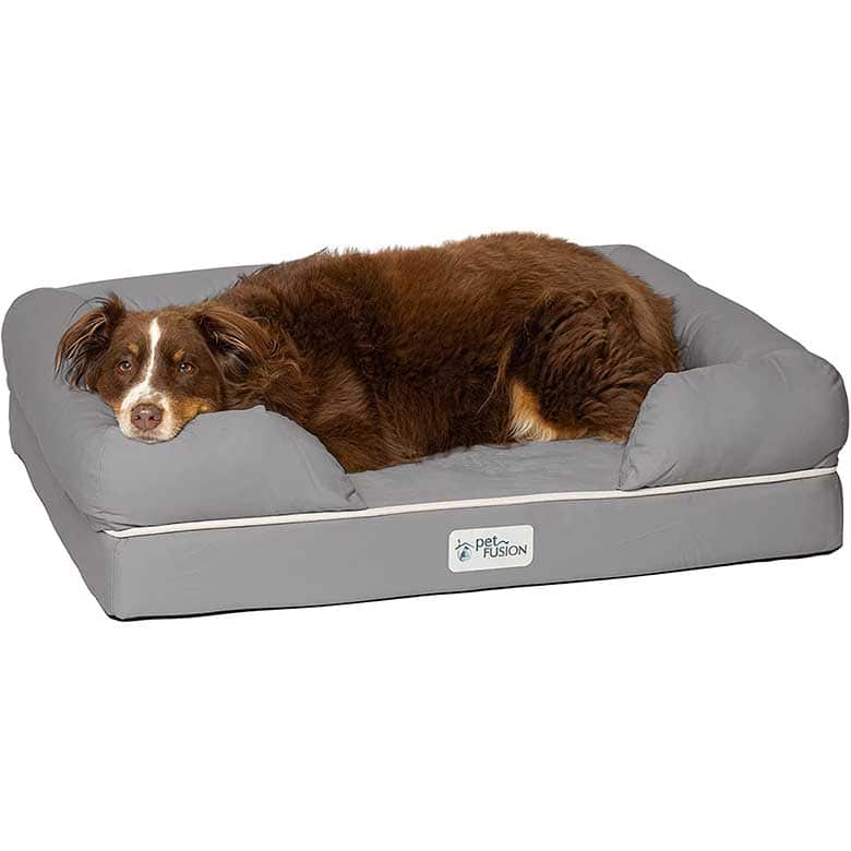 https://www.drewandjonathan.com/wp-content/uploads/2023/09/best-dog-beds-PetFusion.jpg