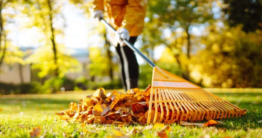 best leaf rakes