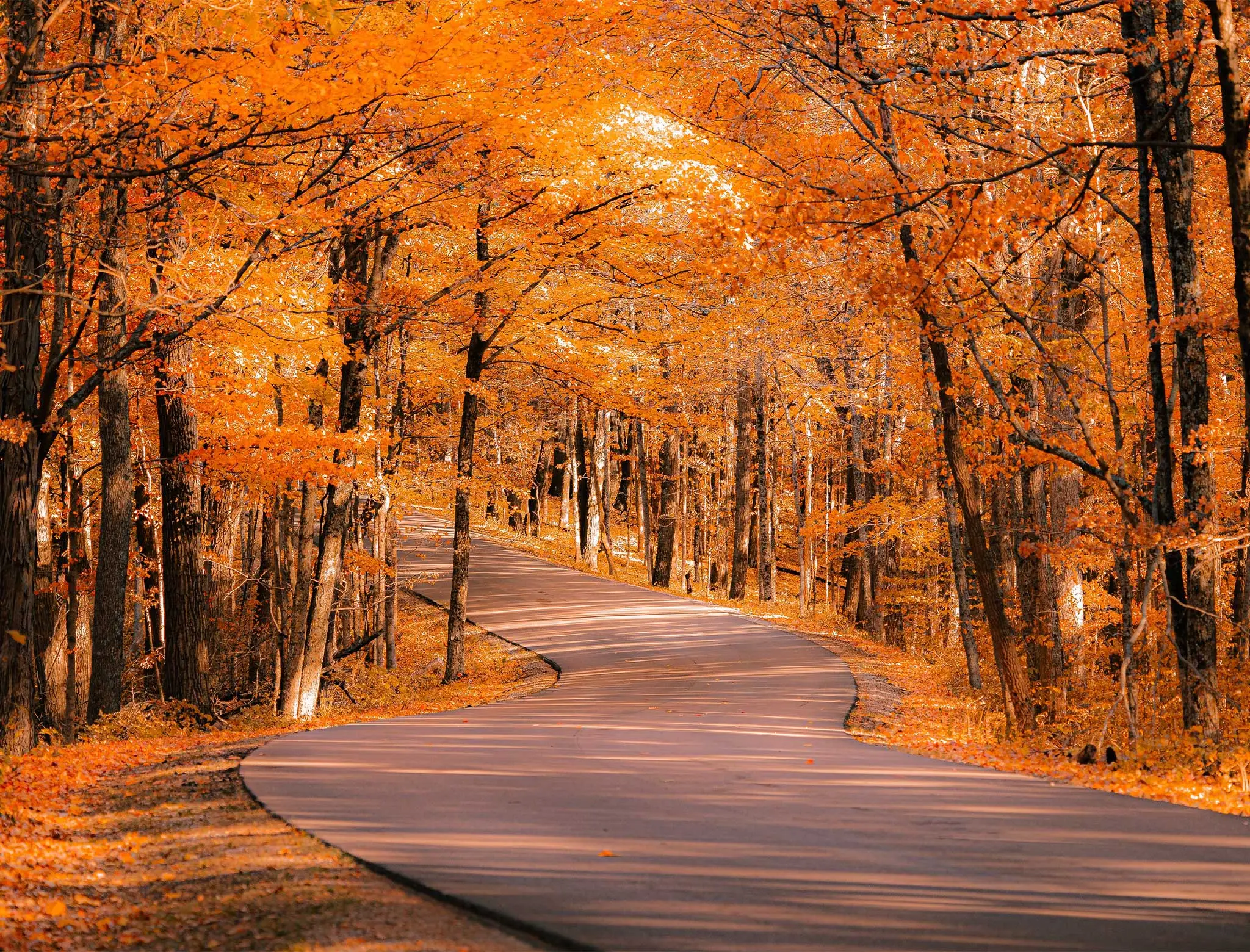 fall foliage trip to vermont