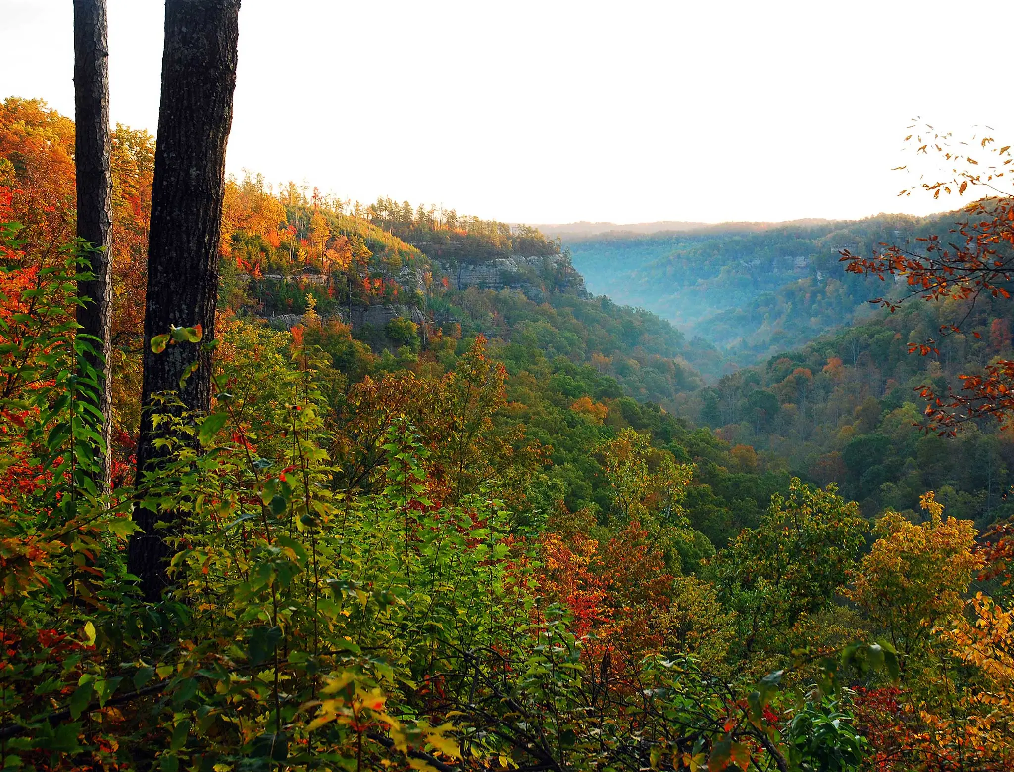 fall foliage trip to vermont