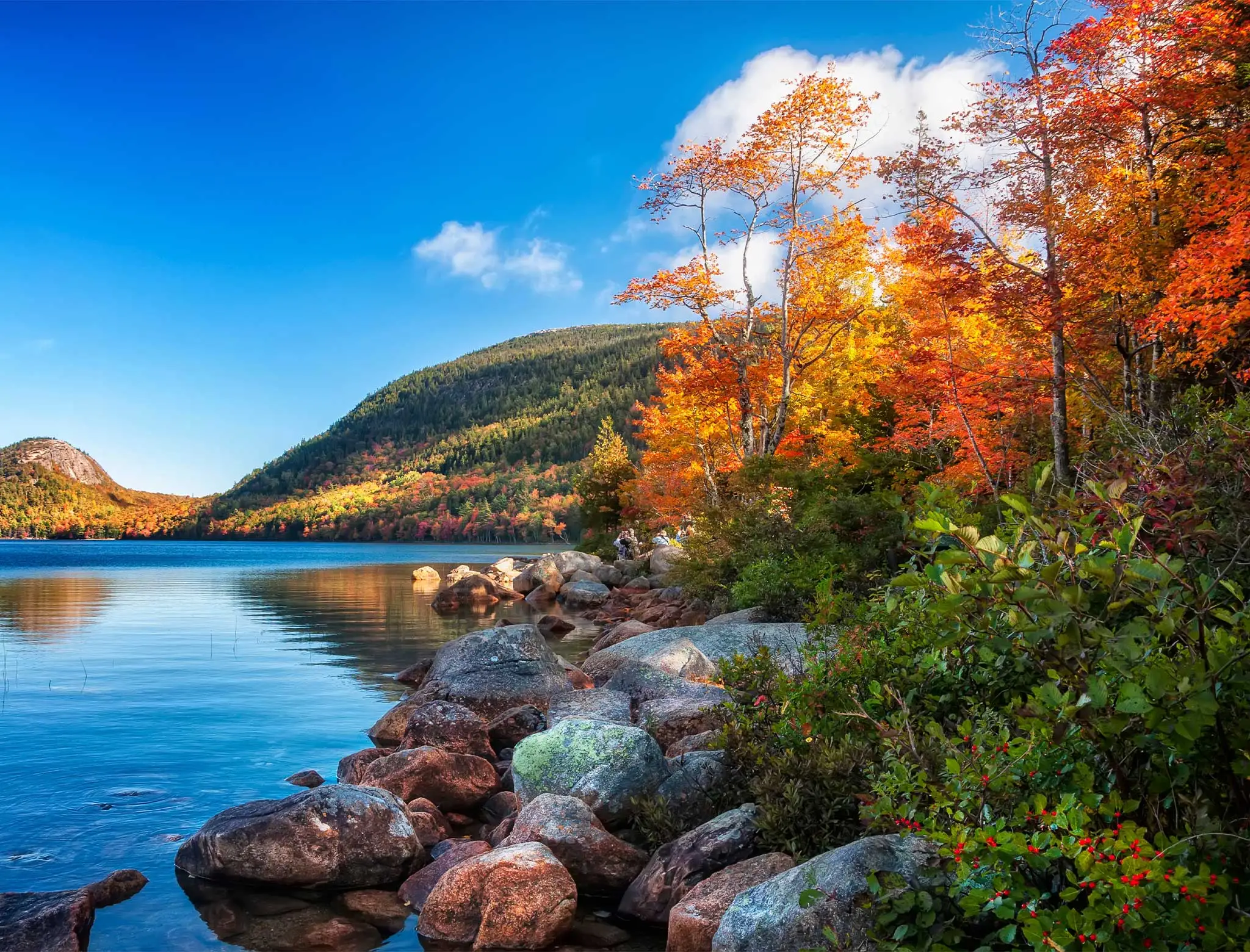 fall foliage trip to vermont