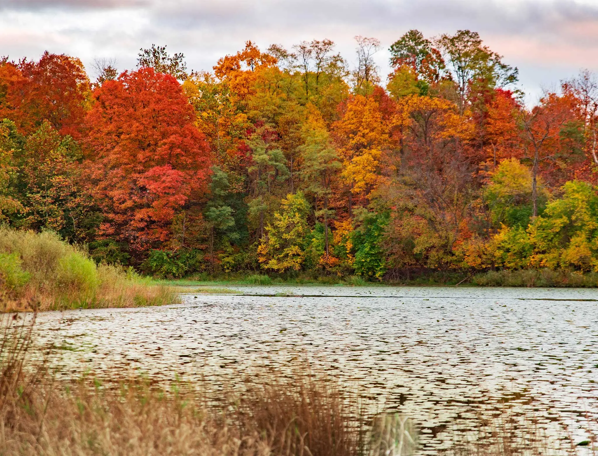 fall foliage trip to vermont