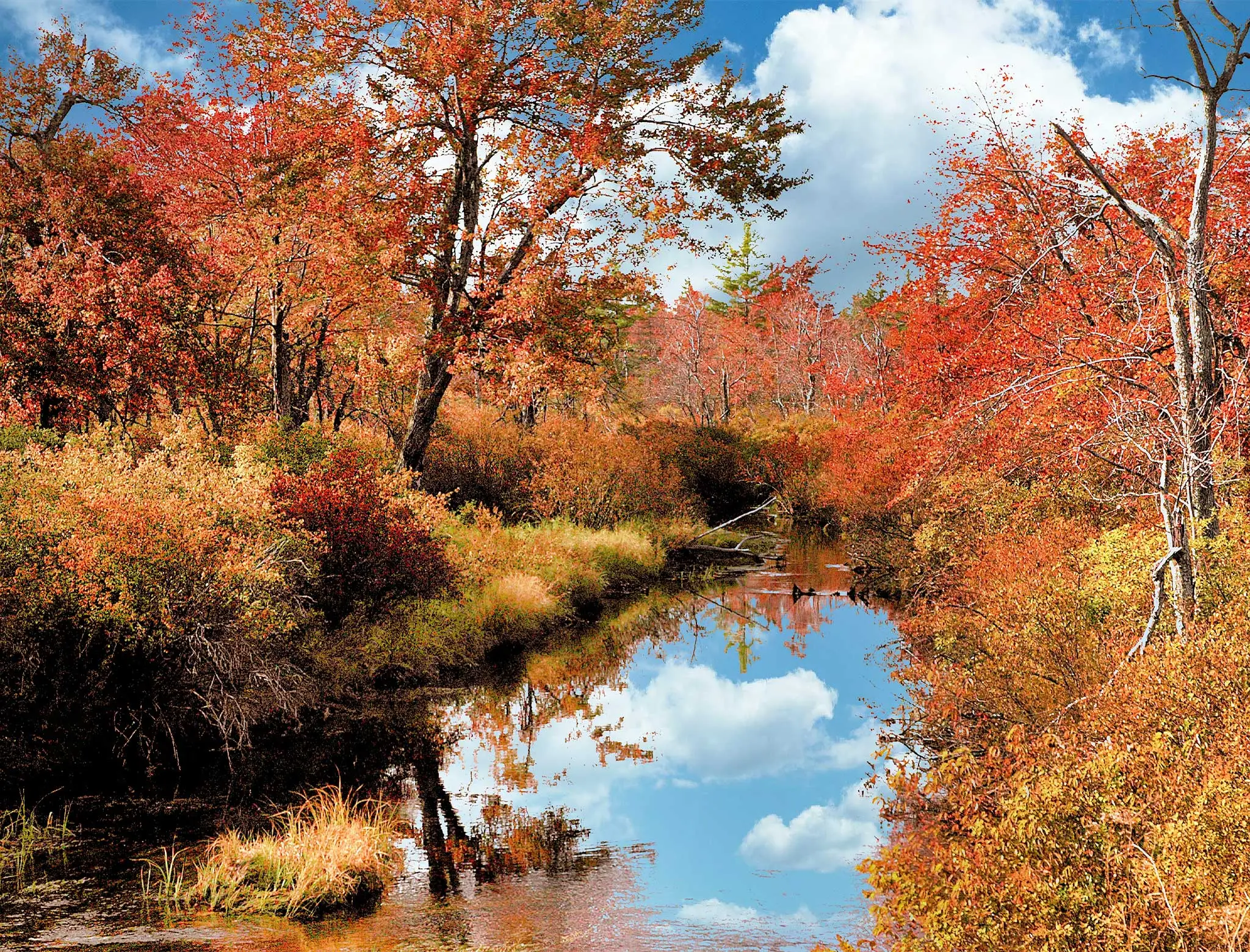 fall foliage trip to vermont