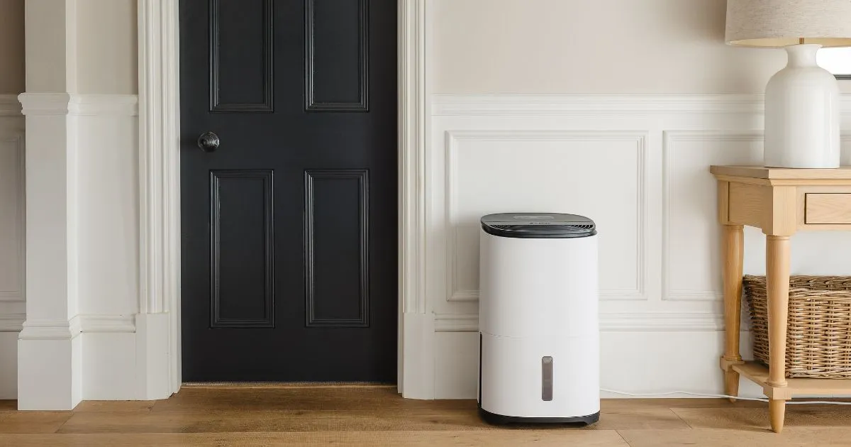 best air purifiers for home