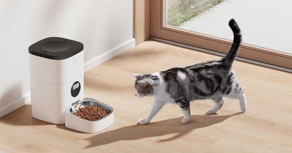 best cat feeders