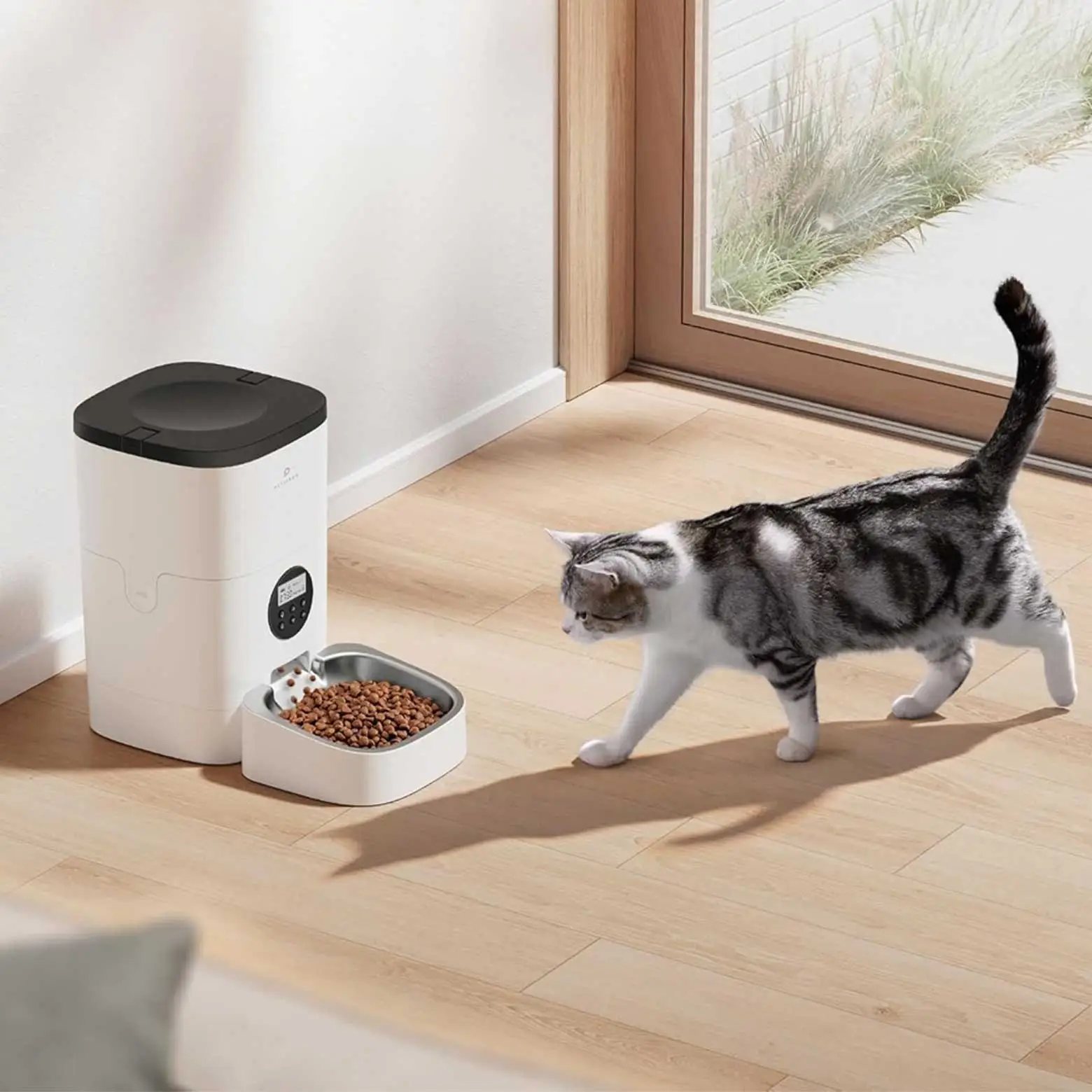 Cat feeder with camera best sale