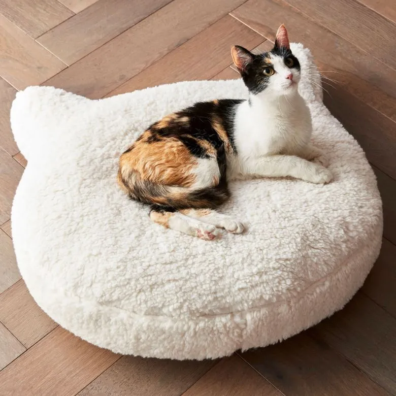 best cat beds