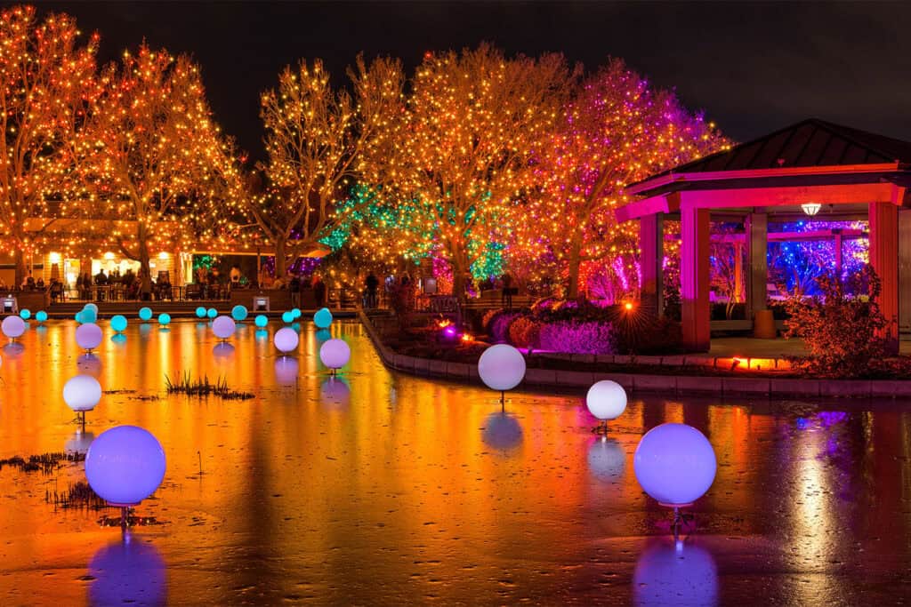 christmas light display in denver, colorado