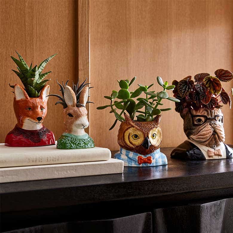 animal planters