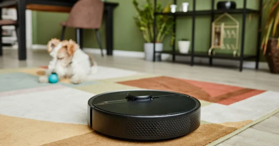 robot vacuum cleaning area rug with dog in background