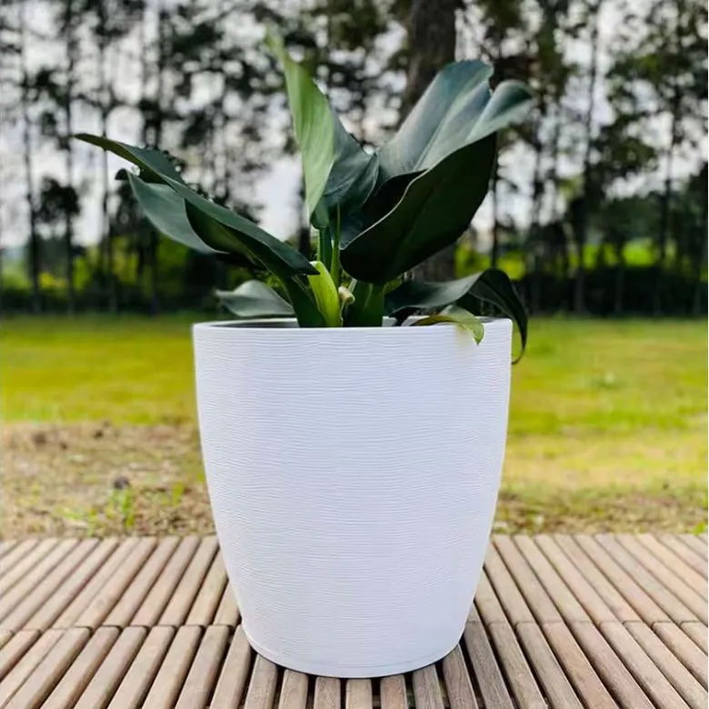 large white planter pot