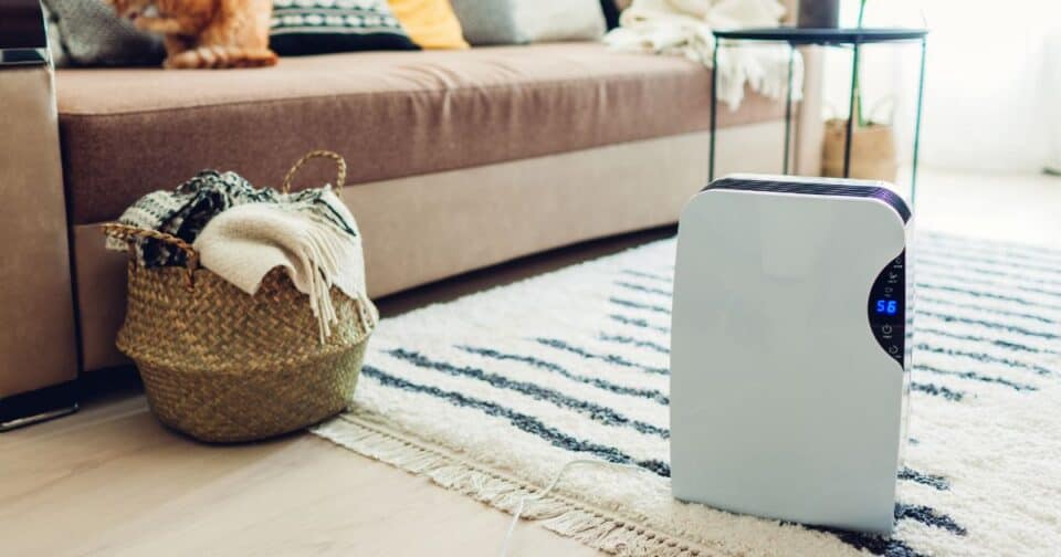 best dehumidifiers for basement