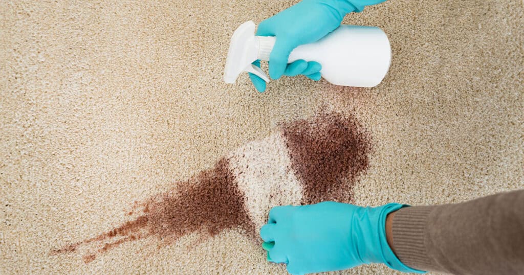 hands cleaning a carpet getting out a coffee stain with spray bottle and rag