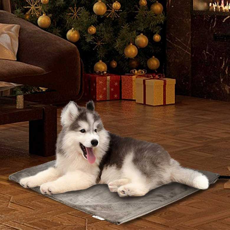 heated dog pad