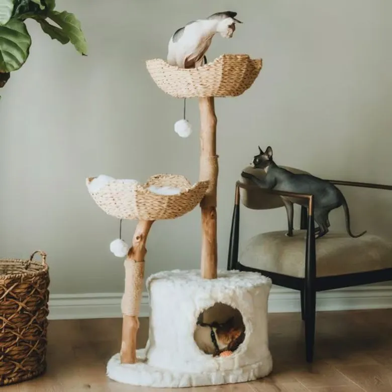 wooden cat tree and condo