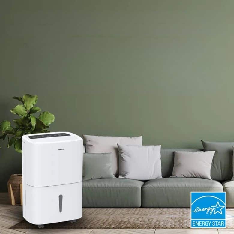 white dehumidifier in green living room